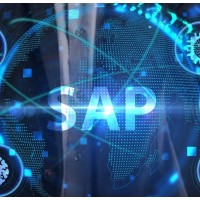 Logistics IT Systems – Flexibility and Efficiency with SAP